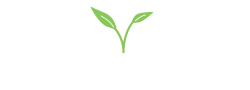 Healthy Business Training Academy